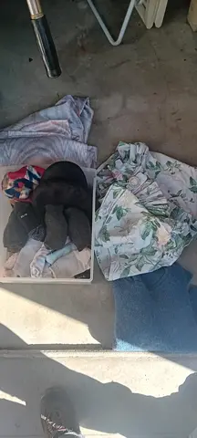Divers vêtements et linge de maison