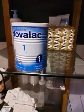 lait en poudre