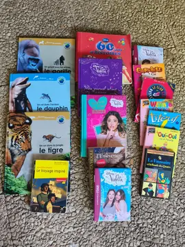 lot livres pour enfants