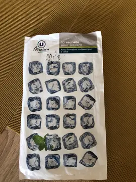 sachets pour glaçons