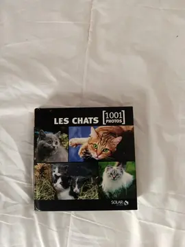 1001 photos de chats