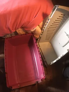 boîte pour transporter un chat