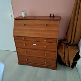 scriban bois