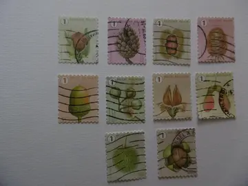 Série timbres Fruits des arbres d'Automne Belgique 2021