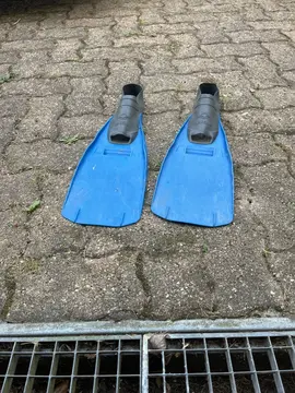 paire de palmes