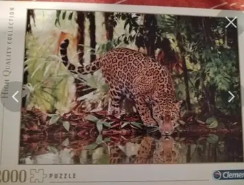 puzzle léopard