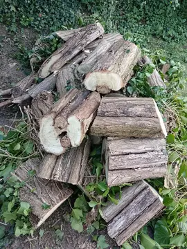 Bois pour cheminée ou décoration