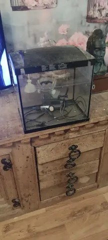 aquarium a nettoyer