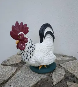 coq