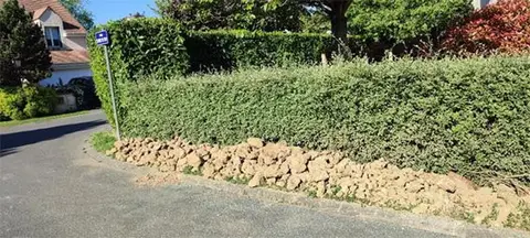 Lot de pierres toutes tailles