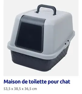 Toit maison chat