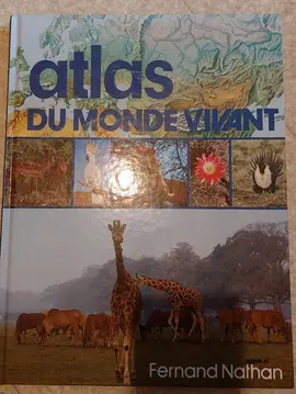 livre enfant 8