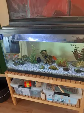 aquarium