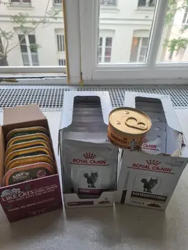 Nourriture pour CHAT