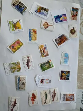 timbres 2 ème choix lot 1