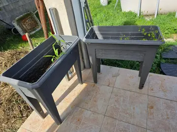 jardiniere