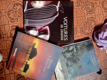 lot 3 livres