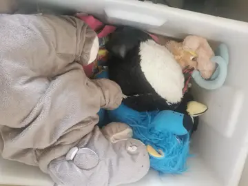 Lot peluches