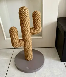 griffoir cactus