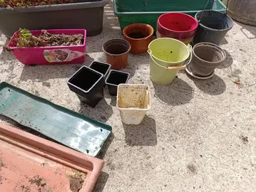 pot de fleurs