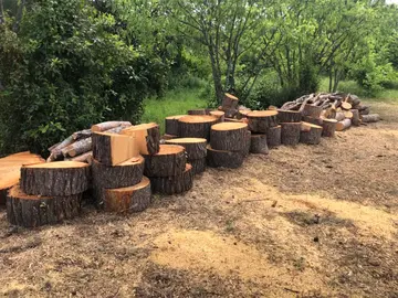 Bois en gros rondins