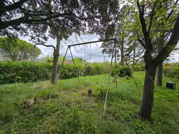 balançoire