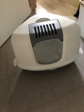 bac litière d’angle chat
