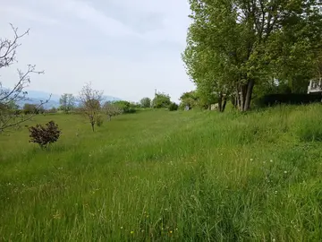 pré à faucher pour récupérer foin