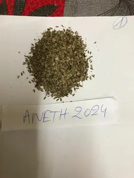 aneth ( semence )