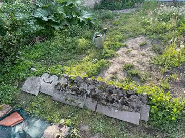 bordure jardin