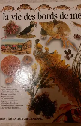 livre enfant 1