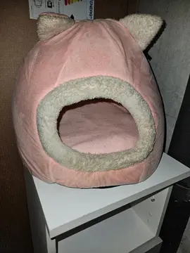 maison pour chat