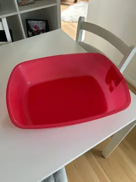 litière chat