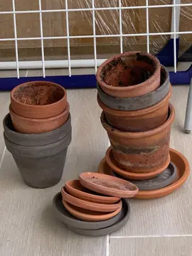 Pots en terre cuite et soucoupes
