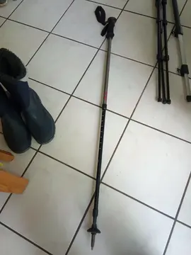 bâton de randonnée télescopique