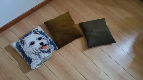 3 coussins