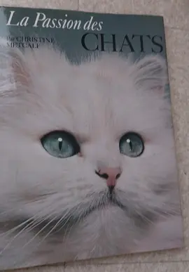 livre chat 5