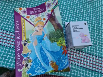 lot cahier de jeu princesses disney et lapin à peindre