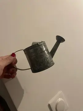 petit arrosoir déco