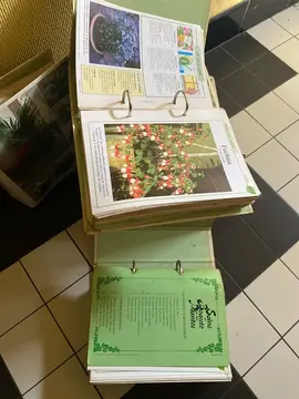 fiche pour plante intérieur et extérieur