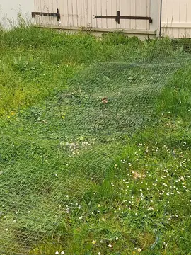 à donner grillage plus de 10metre de long à peu pres