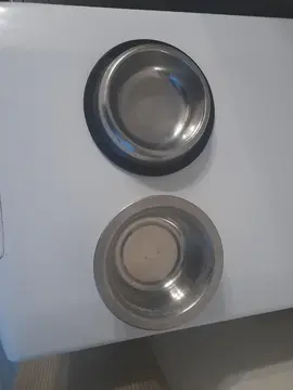 petite gamelle pour animaux