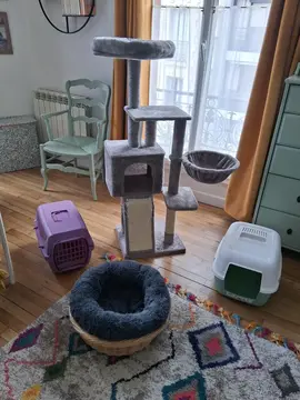 Arbre à chat, panier, bac à litière