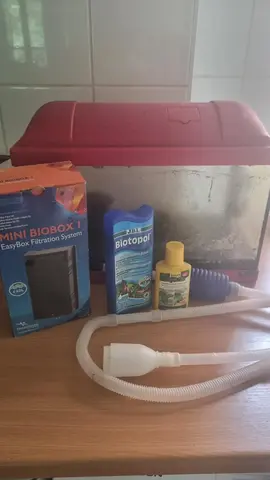 Aquarium pour poisson rouge ou combattant