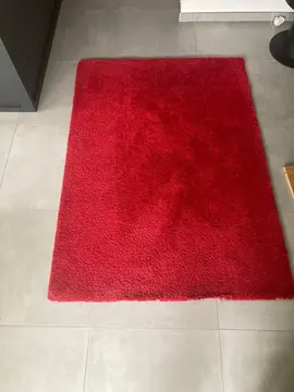 tapis salon