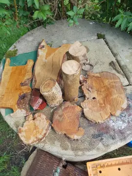Plaques de bois