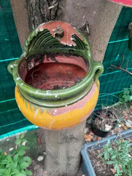 pot de fleur à suspendre.