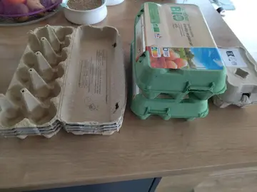 boîtes d'oeufs vides
