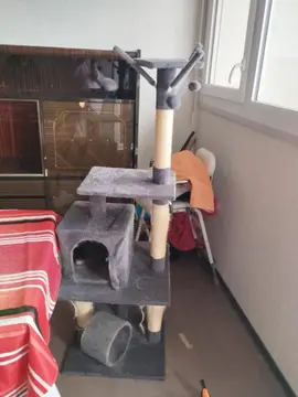 Arbre à chat