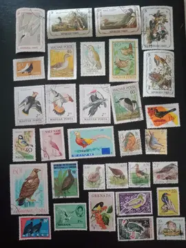 Timbres /Oiseaux